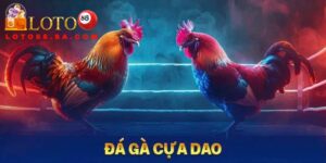 Đá gà cựa dao là hình thức cá cược siêu hấp dẫn