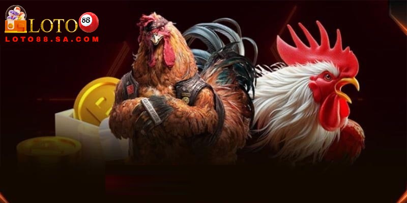 Danh mục đá gà siêu hấp dẫn