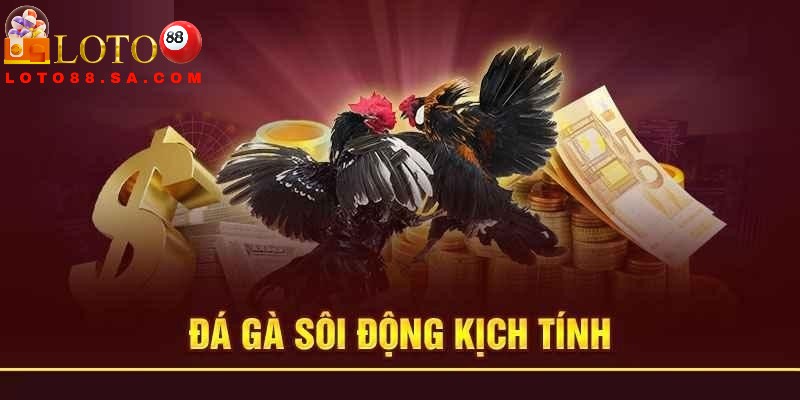 Loto88 mở ra môi trường cá cược chuyên nghiệp