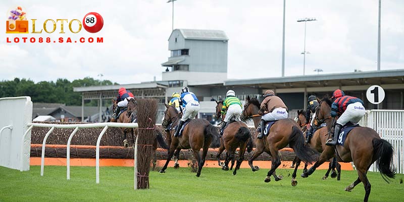 Cá cược đua ngựa - Top 1 bộ môn thể thao hấp dẫn nhất 3 Nên ưu tiên dựa vào tỷ lệ cược để tham gia đầu tư vào cá cược