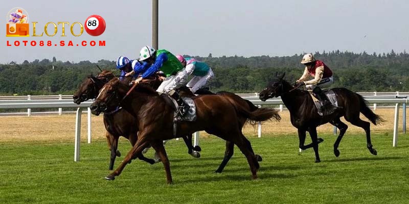 Cá cược đua ngựa - Top 1 bộ môn thể thao hấp dẫn nhất 2 Nên phân tích các thông tin của ngựa chiến để đặt cược