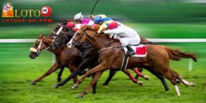 Tham gia cá cược đua ngựa cần chú ý đến các thuật ngữ cơ bản